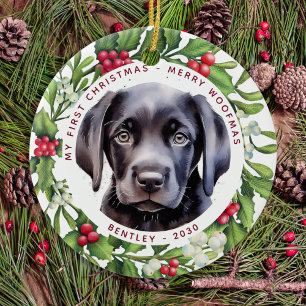 Weihnachts-Gesicht Maske Santa Dog 2020 Pandemie Keramik Ornament