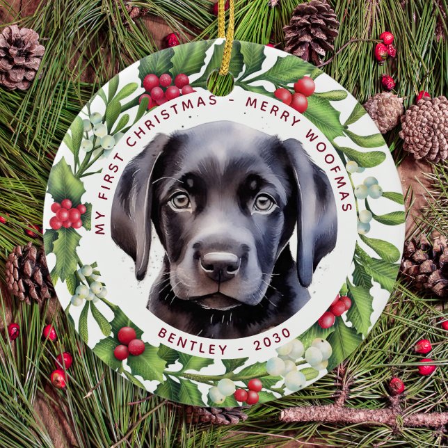 Weihnachts-Gesicht Maske Santa Dog 2020 Pandemie Keramik Ornament (Von Creator hochgeladen)