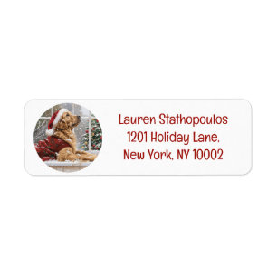 Weihnachts Golden Retriever Santa Dog