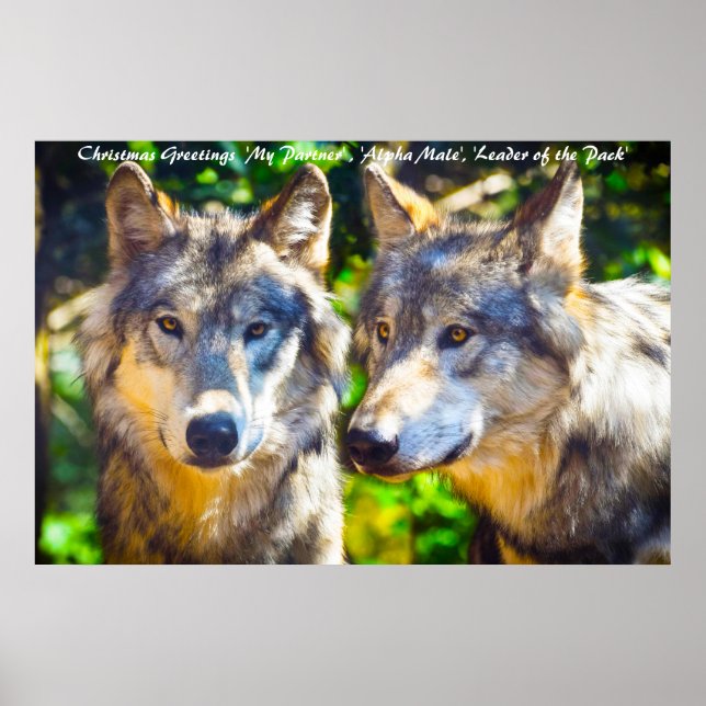 Weihnachts-Gründerführer des Pakets Poster (Vorne)