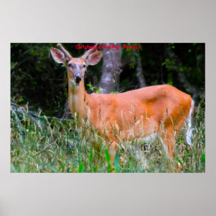 Weihnachts-Grüße Poster