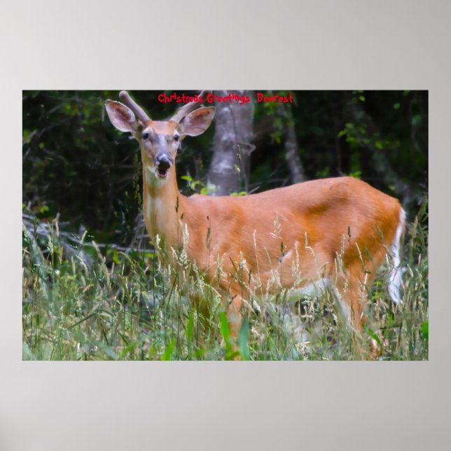 Weihnachts-Grüße Poster (Vorne)