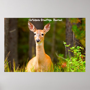 Weihnachts-Grüße Poster