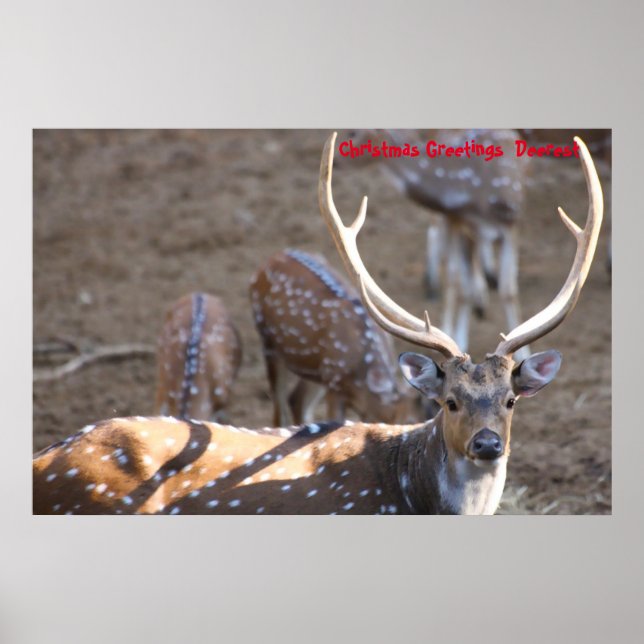 Weihnachts-Grüße Poster (Vorne)