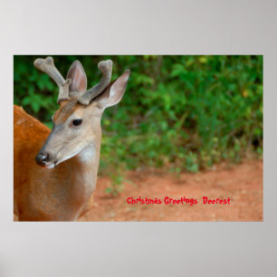 Weihnachts-Grüße Poster