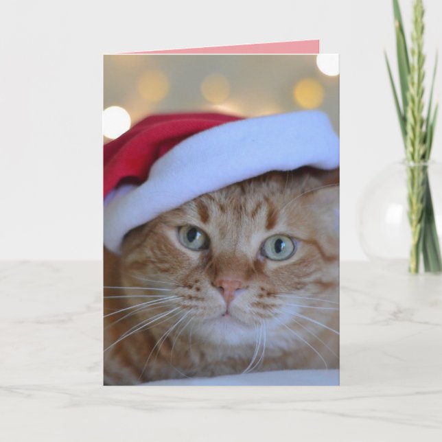 WEIHNACHTS GRUßKARTE MIT SÜßER GINGERKATZE DANKESKARTE (Vorderseite)