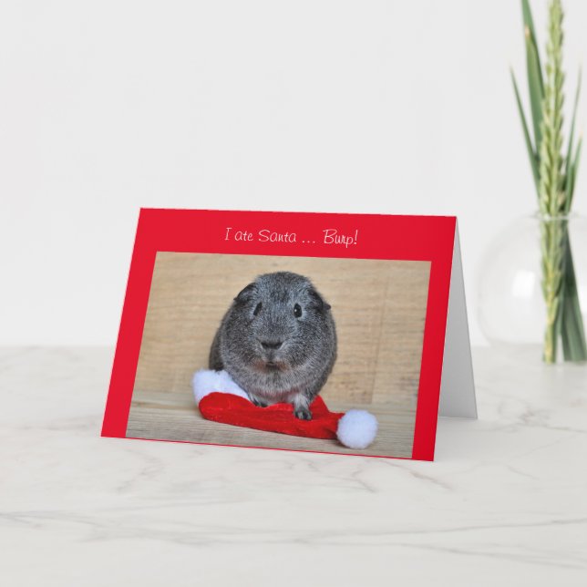 Weihnachts-Guinea Pig Weihnachten Weihnachten Weih (Vorderseite)