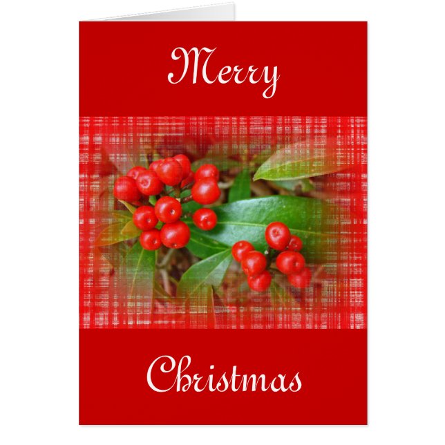 Weihnachts-Honeysuckle Berries auf Baumwolltuch (Vorne)