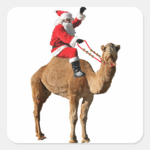 Weihnachts-Hump-Day-Kamel und Weihnachtsmann Quadratischer Aufkleber