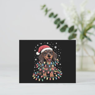 Weihnachts Hund Dachshund Nikolaus Weihnachten Wie
