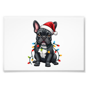 Weihnachts Hund Französische Bulldogge Xmas French Fotodruck