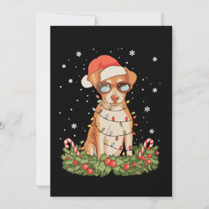 Weihnachts Hund Pinscher Xmas Santa Hut Feiertag Feiertagskarte