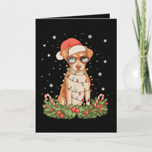 Weihnachts Hund Pinscher Xmas Weihnachtsmann Hut U Karte
