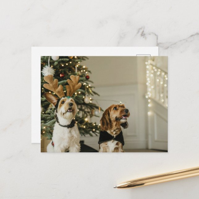 Weihnachts-Hunde Feiertag Cheer Postkarte (Vorderseite/Rückseite Beispiel)