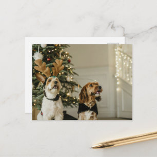 Weihnachts-Hunde Feiertag Cheer Postkarte