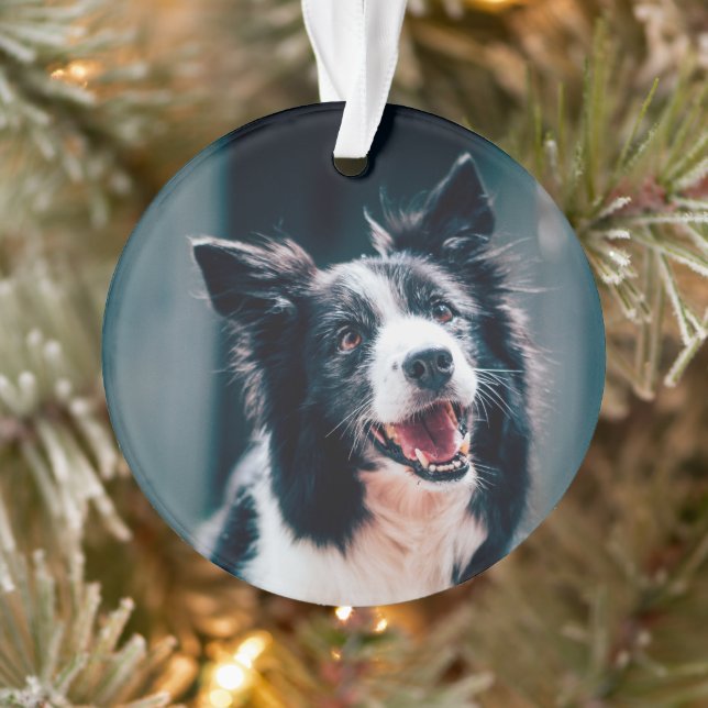 Weihnachts-Hundefoto  Ornament (Baum)