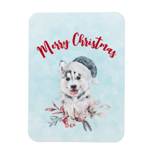 Weihnachts-Husky-Hund in einer Weihnachtsmannmütze Magnet