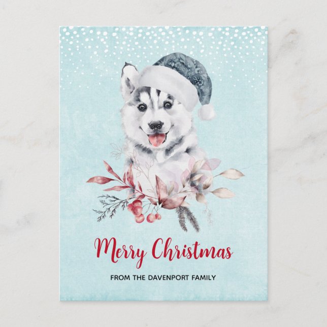 Weihnachts-Husky-Hund in einer Weihnachtsmannmütze Postkarte (Vorderseite)