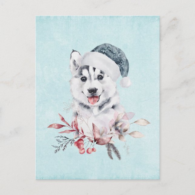 Weihnachts-Husky-Hund in einer Weihnachtsmannmütze Postkarte (Vorderseite)
