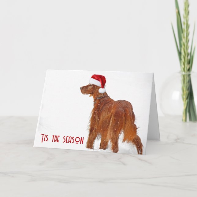 Weihnachts-Irish Setter im Schnee Karte (Vorderseite)