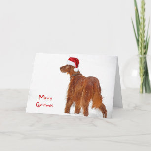 Weihnachts-Irish Setter in Schneeflocken Karte