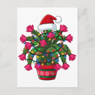 Weihnachts-Kaktus Schlumbergera Bridgesii Holiday  Postkarte