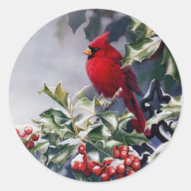 Weihnachts-Kardinal-Vogel auf Holly Berries