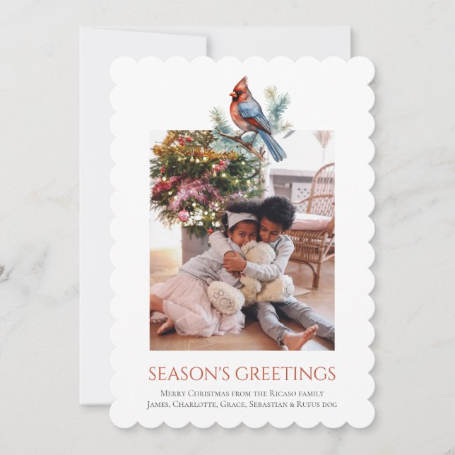 Weihnachts-Kardinal-Vogelfoto-Vorlage Feiertagskarte (Vorderseite)