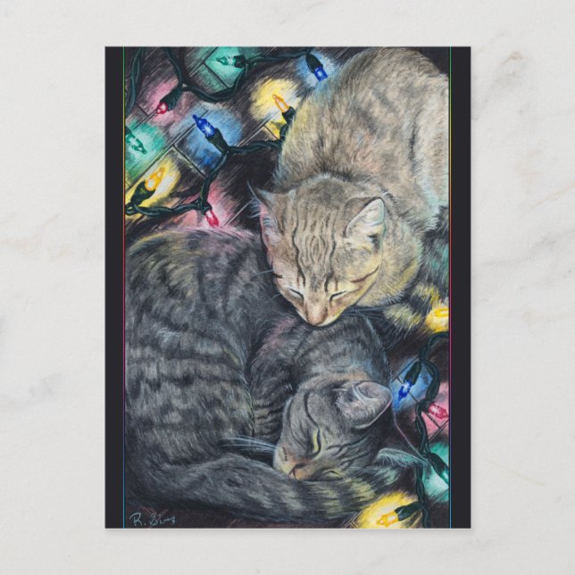 Weihnachts-Kätzchen Postkarte (Vorderseite)