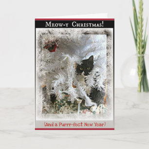 Weihnachts-Kitten Grüße aus dem Inneren des Baumes Feiertagskarte