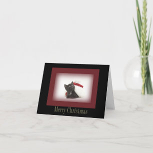 Weihnachts-Kittenkarte Feiertagskarte