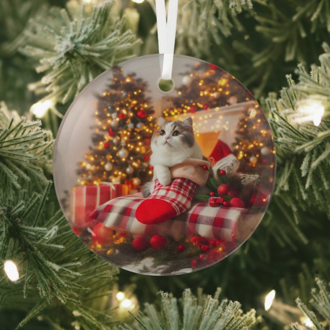 Weihnachts-Kitty-Glas-Ornament Ornament Aus Glas (InSitu)