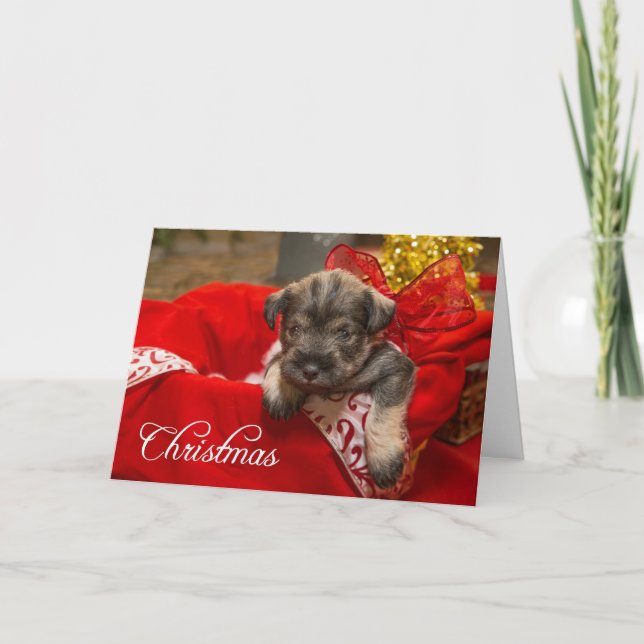 Weihnachts-Liebe Feiertagskarte (Vorderseite)