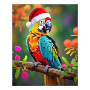 Weihnachts-Macaw mit einer Weihnachtsmannmütze-564 Fotodruck