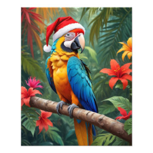 Weihnachts-Macaw mit einer Weihnachtsmannmütze-564 Fotodruck