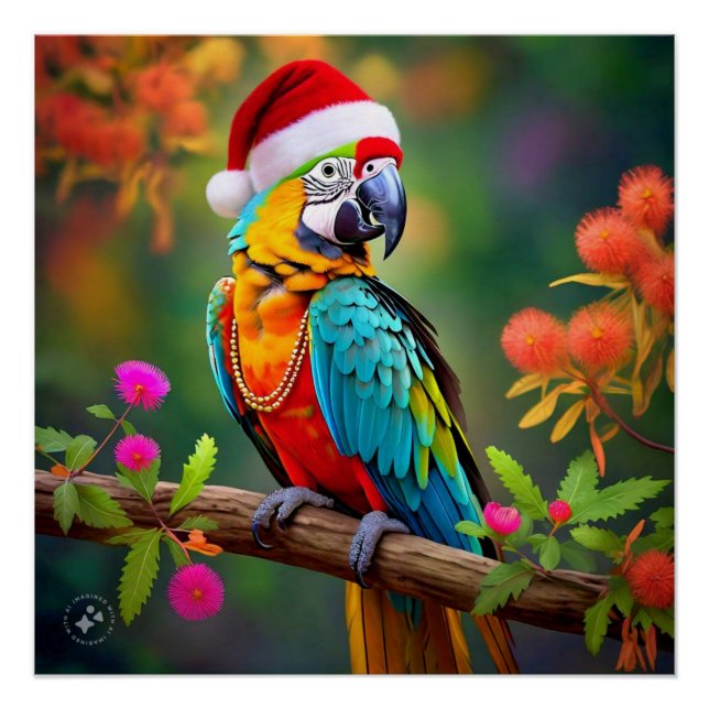 Weihnachts-Macaw mit einer Weihnachtsmannmütze-564 Poster (Vorderseite)