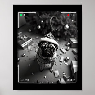 Weihnachts-Mops auf Kamera erwischt Poster