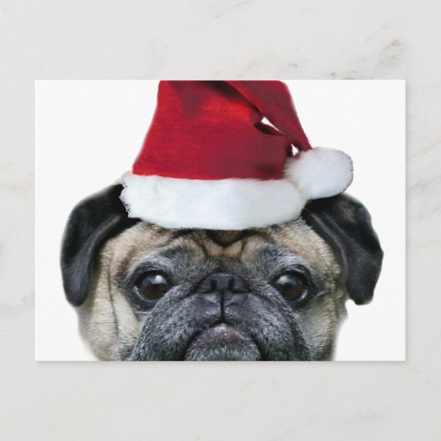 Weihnachts-Mops Feiertagspostkarte (Vorderseite)
