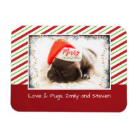 Weihnachts-Mops in Weihnachtsmannmütze mit Weihnac