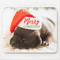 Weihnachts-Mops in Weihnachtsmannmütze mit Weihnac