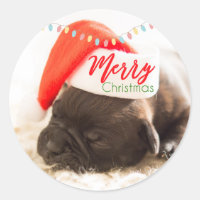 Weihnachts-Mops in Weihnachtsmannmütze mit Weihnac