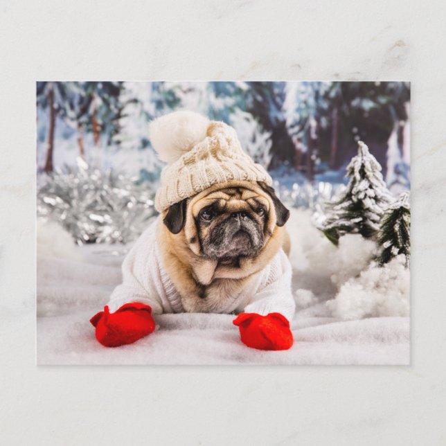 Weihnachts-Mops mit Handschuhen und Hut Postkarte (Vorderseite)