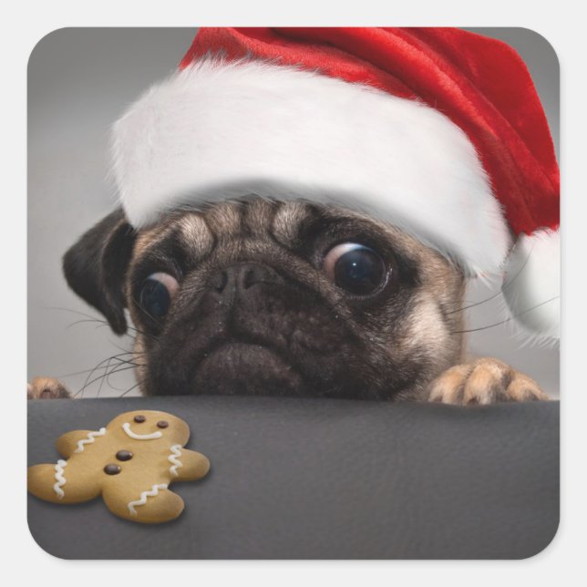 Weihnachts-Mops Quadratischer Aufkleber (Vorderseite)