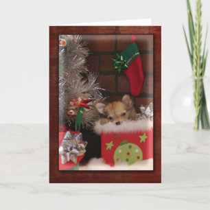 Weihnachts Niedlicher Chihuahua Welpe in Box Feiertagskarte