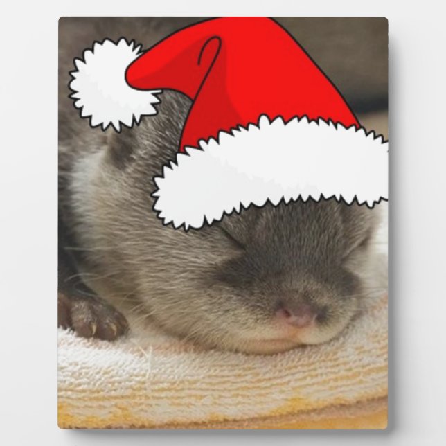 Weihnachts-Otter Fotoplatte (Vorderseite)