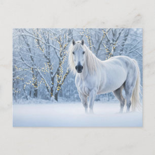 Weihnachts Pferd Schnee Lichter Feiertagspostkarte