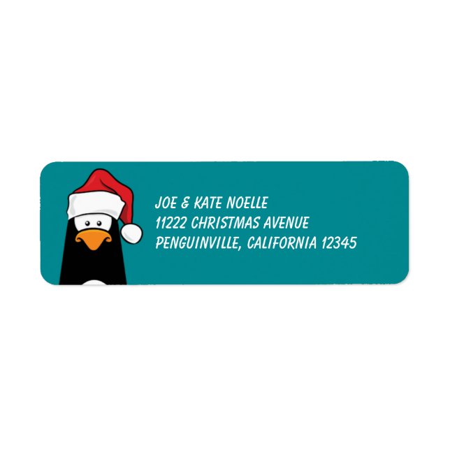 Weihnachts-Pinguin in einer Weihnachtsmannmütze (Vorne)