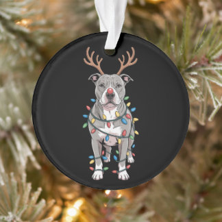 Weihnachts-Pit-Bull-Rentier-Geweih-Xmas-Lichter Ornament