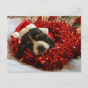Weihnachts Postcard Basset Hound Feiertagspostkarte