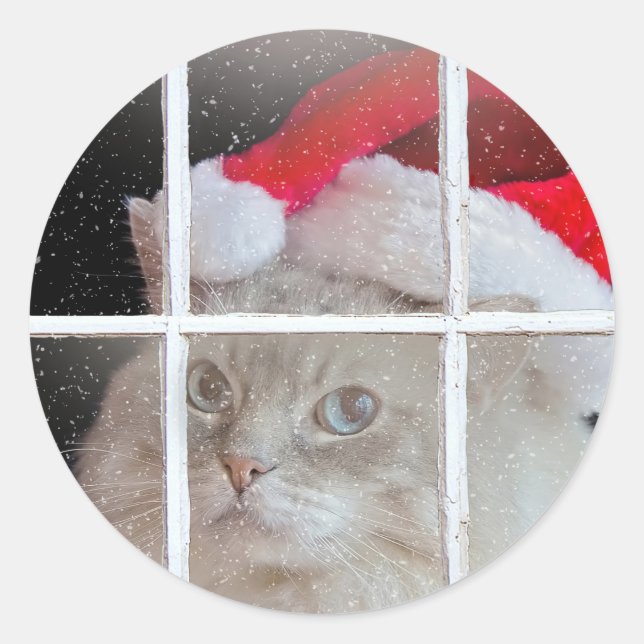 Weihnachts-Ragdoll-Katze im Fenster Runder Aufkleber (Vorderseite)